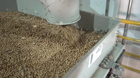 Grain processing factory processing soybeans Stock Footage 274586742
