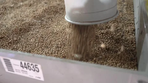Grain processing factory processing soybeans Stock Footage 274587307