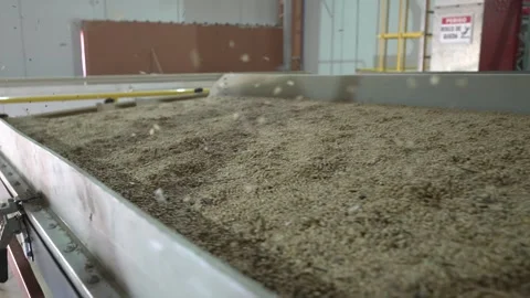 Grain processing factory processing soybeans Stock Footage 274588329