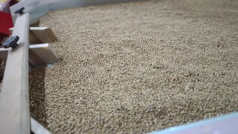 Grain processing factory processing soybeans Stock Footage 274589237