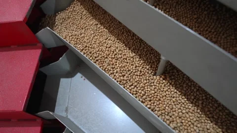 Grain processing factory processing soybeans Stock Footage 274589890