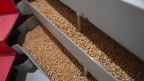 Grain processing factory processing soybeans Stock Footage 274590081