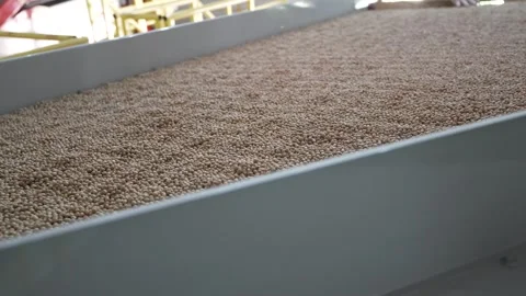 Grain processing factory processing soybeans Stock Footage 274590682