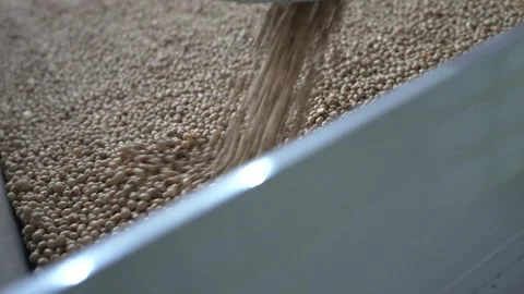 Grain processing factory processing soybeans Stock Footage 274590686