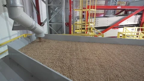 Grain processing factory processing soybeans Stock Footage 274590959