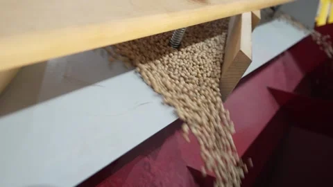 Grain processing factory processing soybeans Stock Footage 274591471