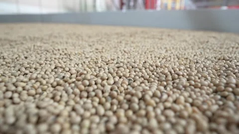 Grain processing factory processing soybeans Stock Footage 274592461