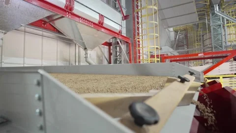 Grain processing factory processing soybeans Stock Footage 274592526