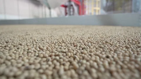 Grain processing factory processing soybeans Stock Footage 274592540