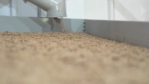 Grain processing factory processing soybeans Stock Footage 274593010