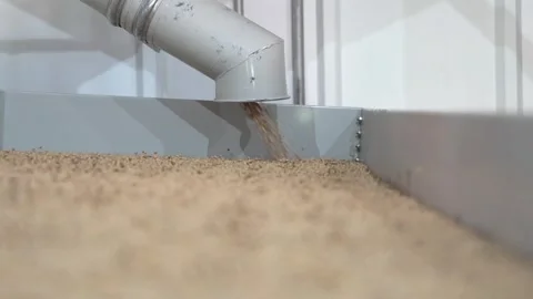 Grain processing factory processing soybeans Stock Footage 274593049