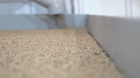 Grain processing factory processing soybeans Stock Footage 274594030