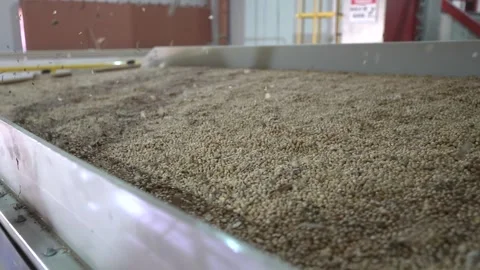 Grain processing factory processing soybeans Stock Footage 274620334