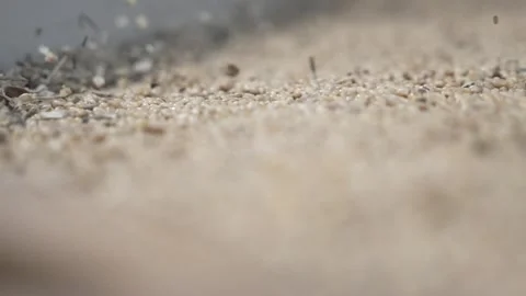 Grain processing factory processing soybeans Stock Footage 274620419