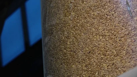 Grain processing into flour 库存影片 99774773