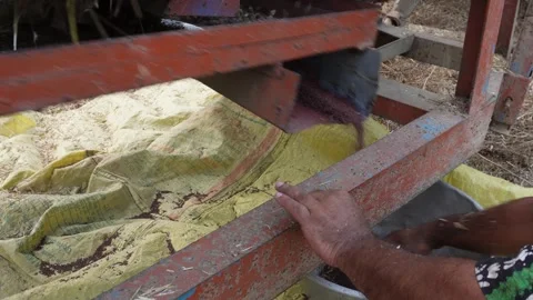 Grain Processing Machine Video stock 333922441