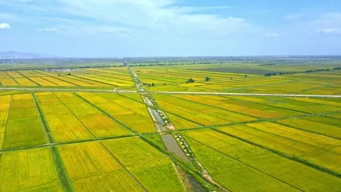 Grain producing areas, irrigation areas - vast plainsv Stock Footage 234104403