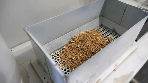 Grain quality analysis with a sifting device and grains poured there by a man Stock Footage 157797666