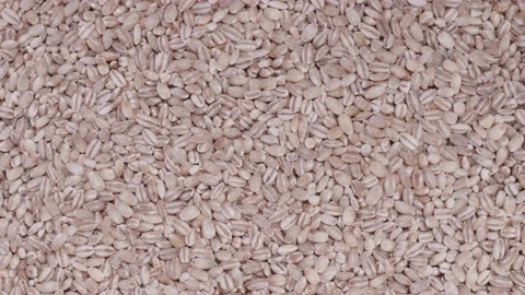 Grain raw barley rotation close-ups Stock Footage 146706216