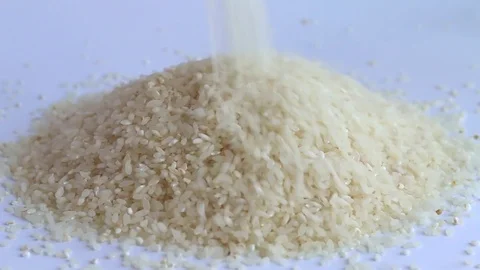 Grain rice falling back Video stock 74248852