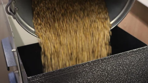 Grain Sample Poured Into Equipment for Laboratory Quality Analysis. 動画素材 345040688
