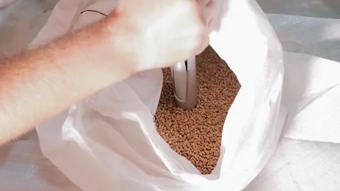 Grain sampling. Grain selection is a special tool for research. Stock Footage 262794361