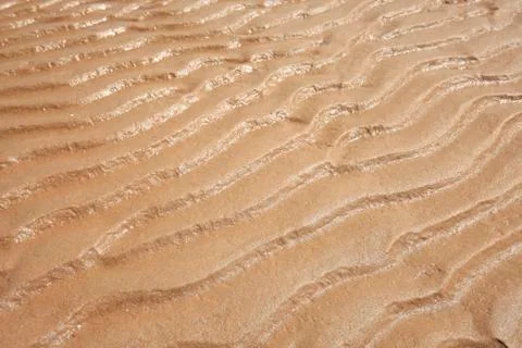 The grain of sand by the sea Stock Photos