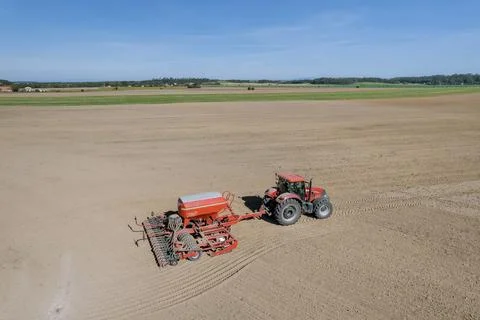 Grain seeder attached to a tractor sows grain in the field. Stock Photos