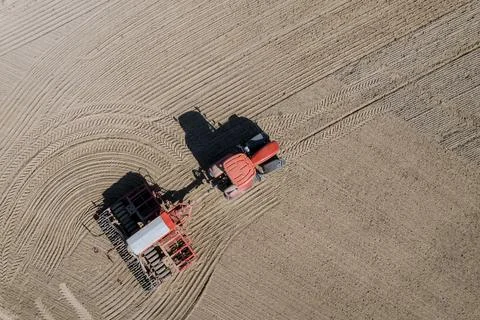 Grain seeder attached to a tractor sows grain in the field. Stock Photos