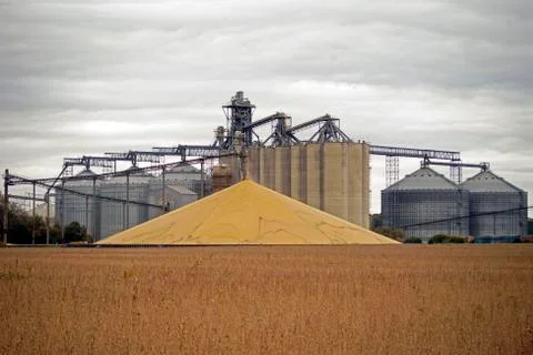 Grain setting in front of a grain elevator Stock Photos