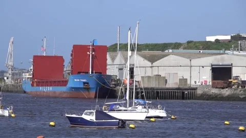 Grain ship being unloaded alongside a quay, Plymouth England Stock Footage 137736995