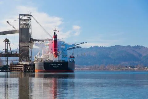 Grain ship loading up 스톡 사진