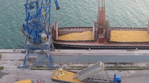 Grain Shipping Industry. Loading Corn at Port Terminal with crane. Top view Stock Footage 305038785