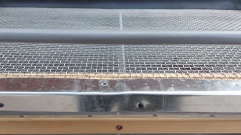 Grain Sieve Machine Video Video stock 335411556
