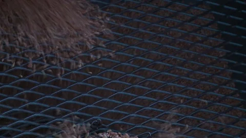 Grain is sifted through a grid Stock Footage 93664930