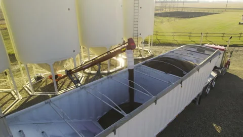 Grain Silo Elevator Facility In Farmland Of Red Deer County In Alberta Canada Stock Footage 306136603