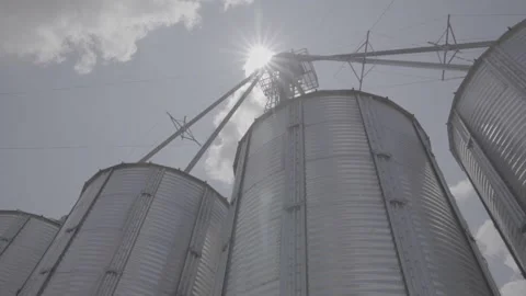 GRAIN Silo  Stock Footage 240028166
