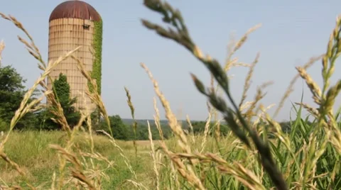 Grain silo wheat blowing Stock Footage 8548634