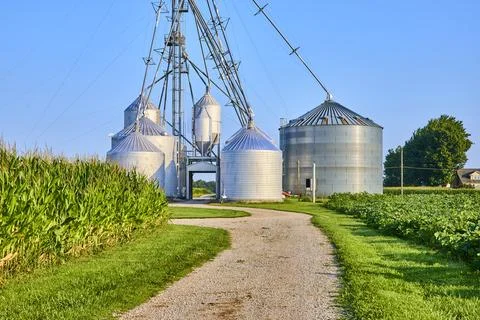 Grain Silos and Corn Fields with Gravel Path Eye Level View Stock Photos