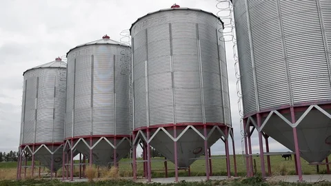 Grain silos tower over a field in Alberta Stock-Footage 90873604