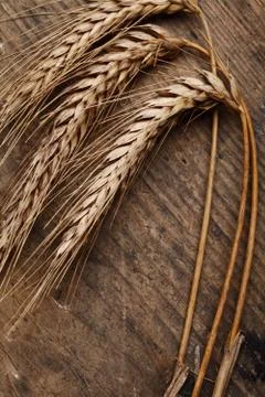 Grain still life Stock Photos