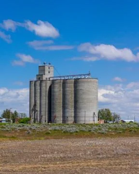 Grain storage facility with silos Stock Photos