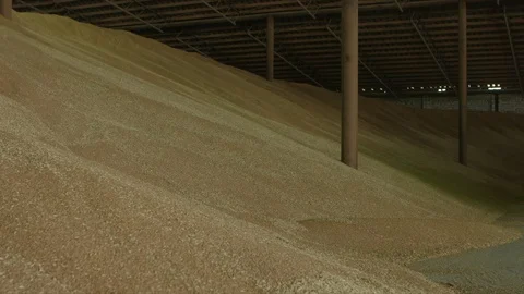 Grain in storage Vídeos de archivo 94725010