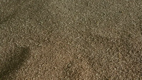 Grain in storage Stock-Footage 94725048