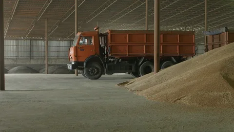 Grain in storage 스톡 동영상 94725049