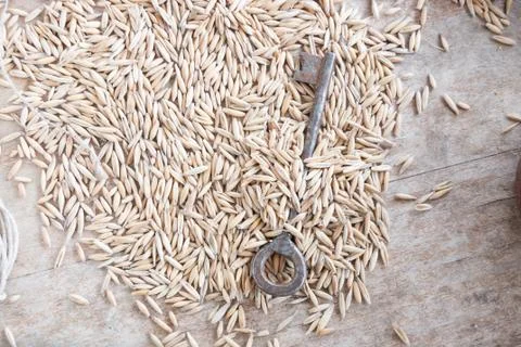 Grain storage Stock Photos