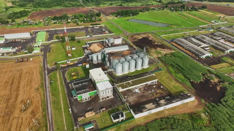 Grain storage. Silo at farm. Elevator for corn storage and grain. Stockbeeldmateriaal 203999214