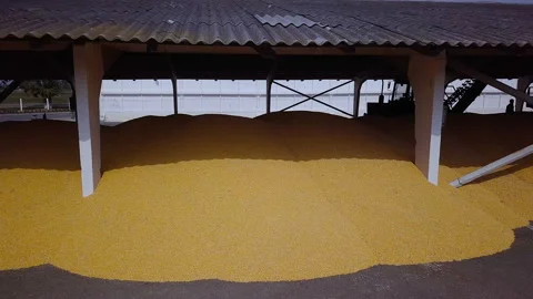 Grain storage silos. Granary with mechanical equipment for receiving, cleaning Stock Footage 96100730