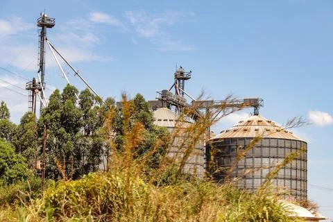 Grain storage silos Foto stock