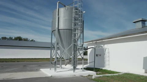 Grain Storage Tank Silo Containing Food For Chicken Birds At Poultry Factory Stock Footage 223394908